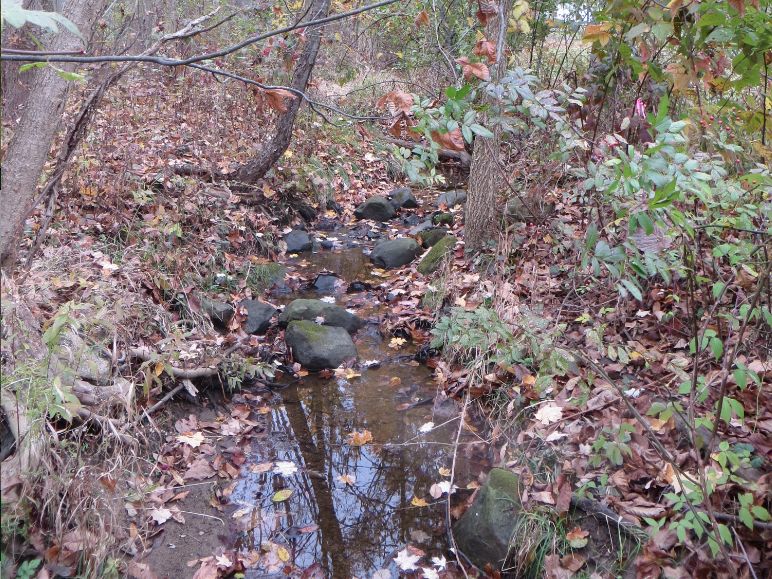 Middle Branch of Upper North Fork of Yellow Creek