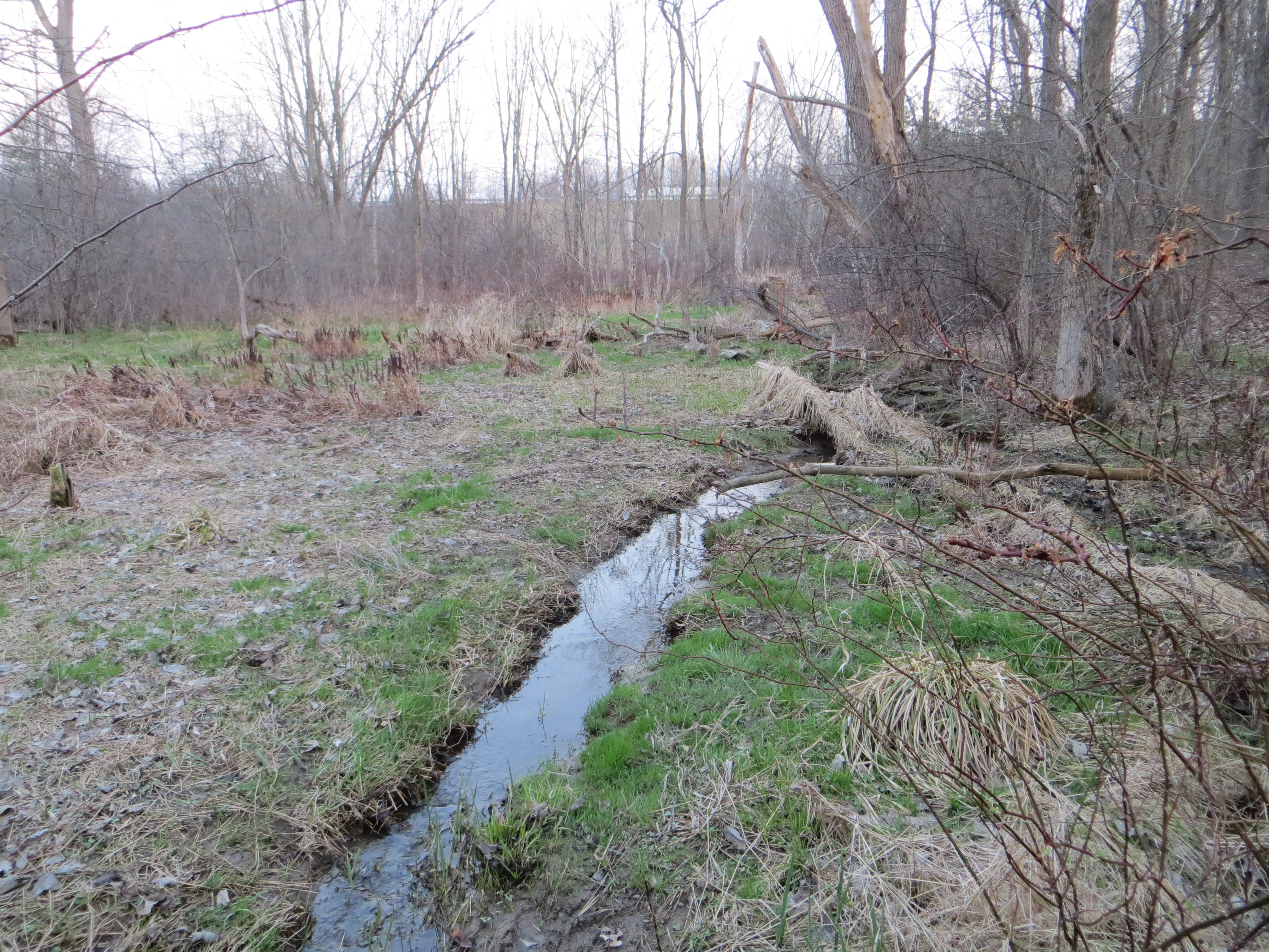 West Branch of Upper North Fork of Yellow Creek